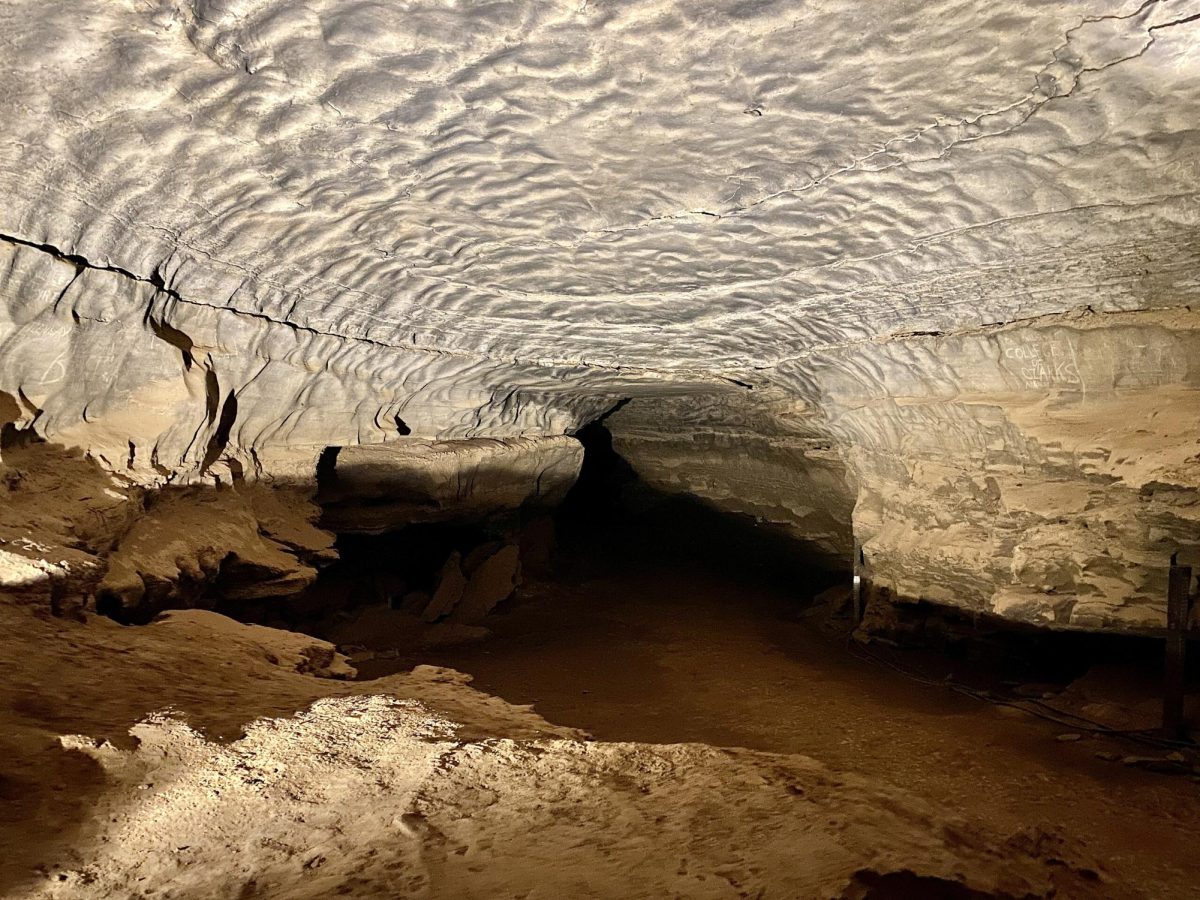 The largest known cave system in the world, the Mammoth-Flint Ridge Cave System has more than 400 miles of documented passages, and sits beneath the ground in Mammoth Cave National Park. Photo by w_lemay / Wikimedia Commons